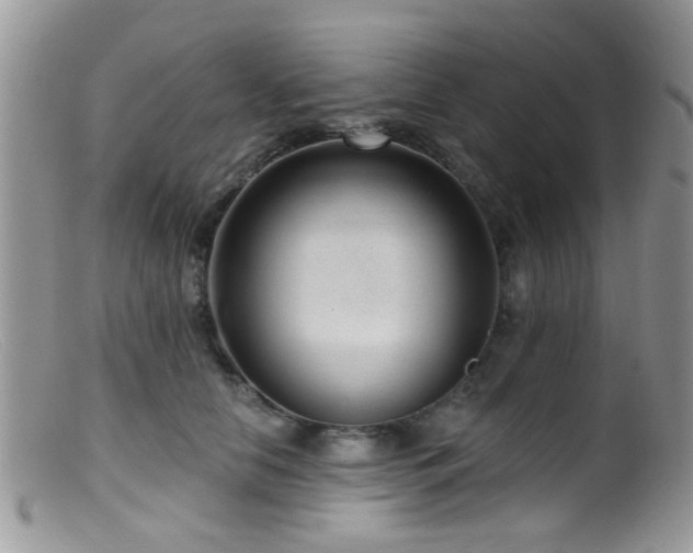 X0000099500658200805151432