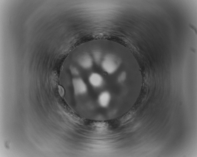 X0000099500659200805151432