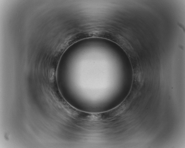 X0000099500660200805151432