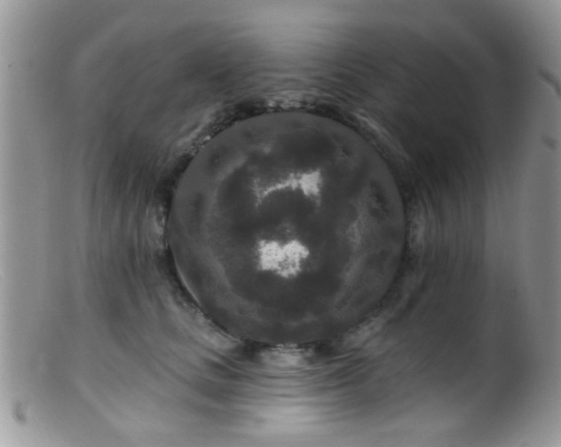 X0000099500661200805151432