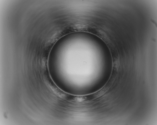 X0000099500662200805151432