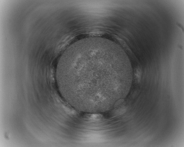 X0000099500663200805151432