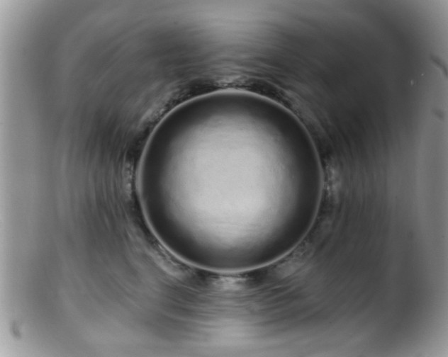 X0000099500664200805151432