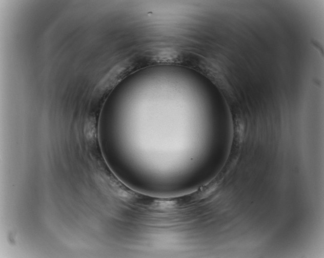 X0000099500665200805151432