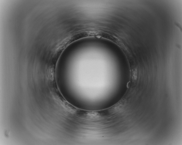 X0000099500666200805151432