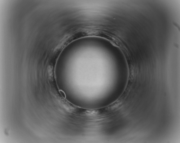 X0000099500667200805151432