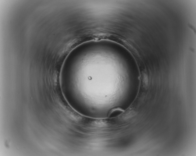 X0000099500668200805151432