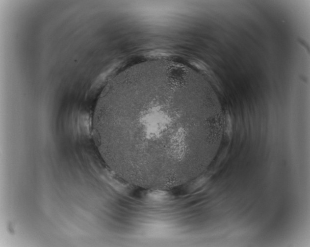 X0000099500669200805151432