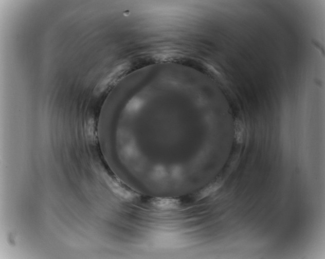 X0000099500670200805151432