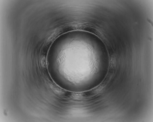 X0000099500671200805151432