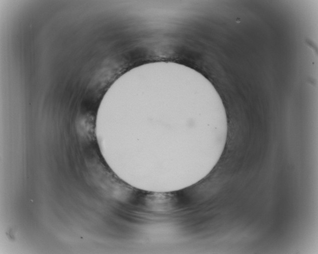 X0000099500672200805151432