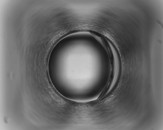 X0000099500673200805151431