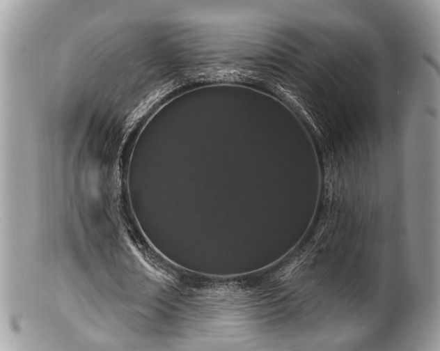 X0000099500674200805151431