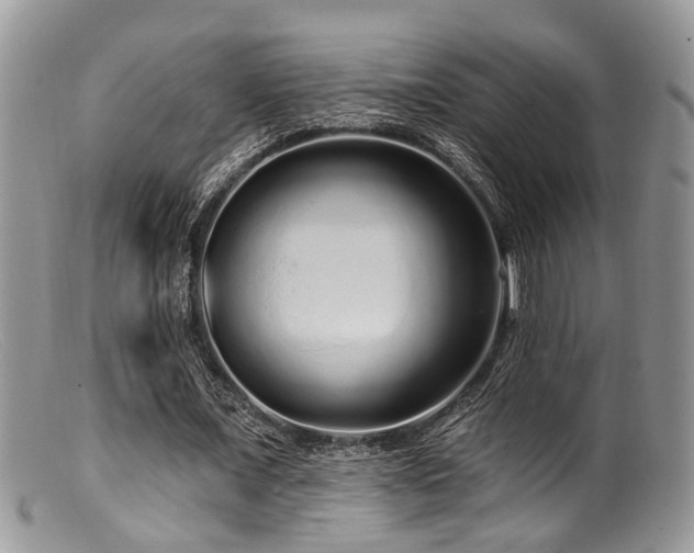 X0000099500675200805151431