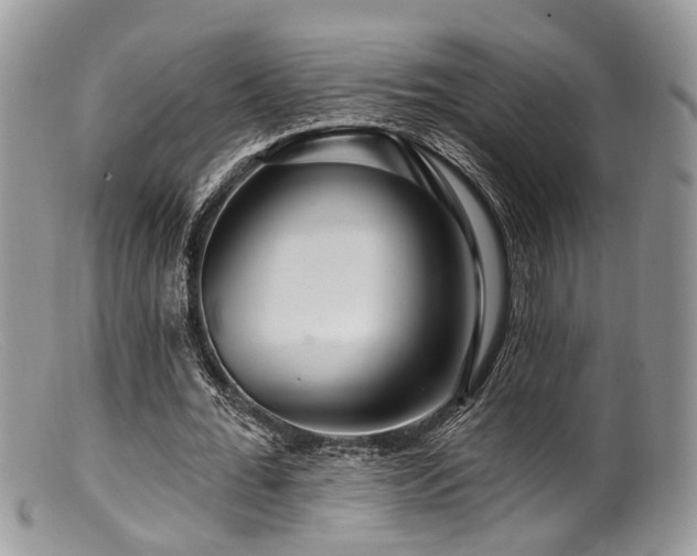X0000099500676200805151431