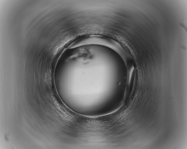 X0000099500677200805151431