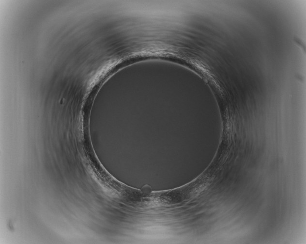 X0000099500678200805151431