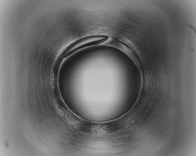 X0000099500680200805151431