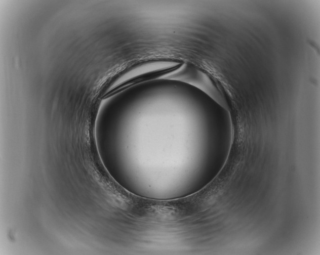 X0000099500681200805151431