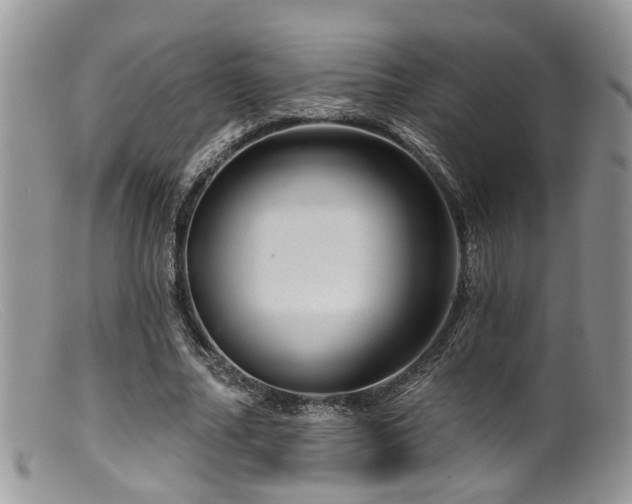 X0000099500682200805151431