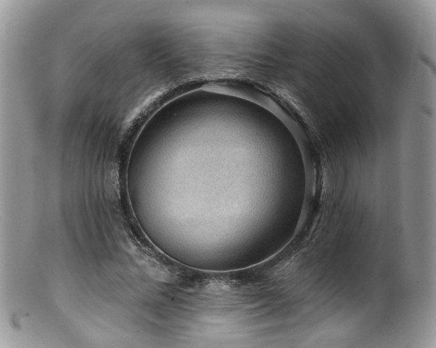 X0000099500684200805151431