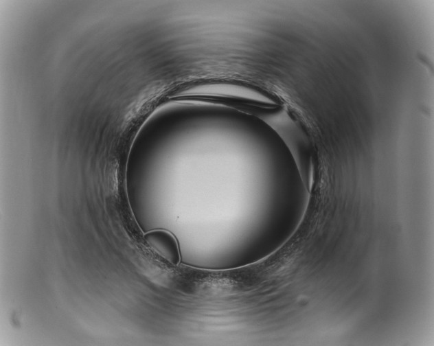 X0000099500685200805151431