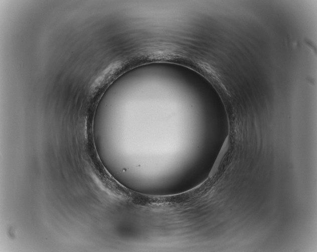 X0000099500686200805151431