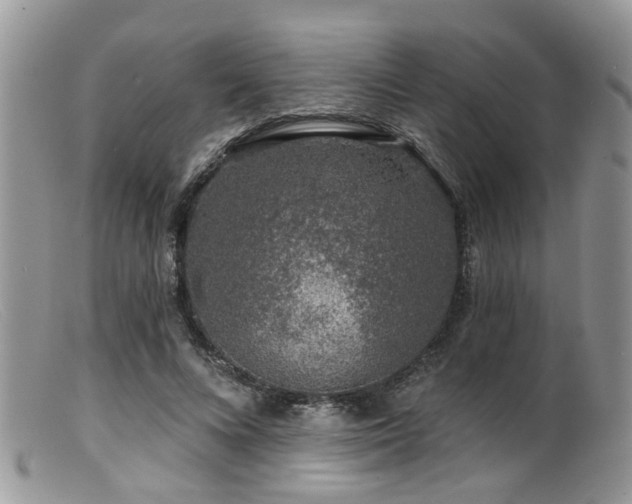 X0000099500688200805151431
