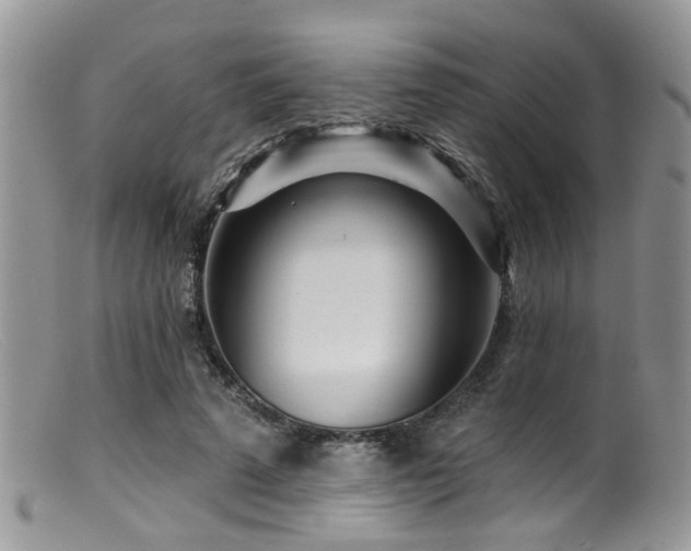 X0000099500689200805151431