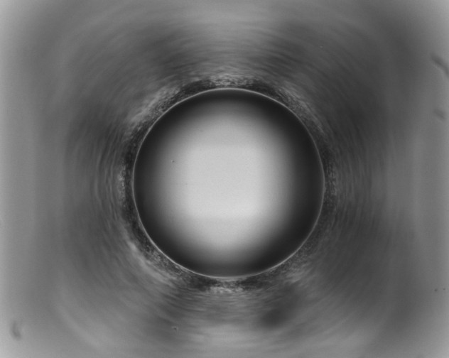 X0000099500690200805151431