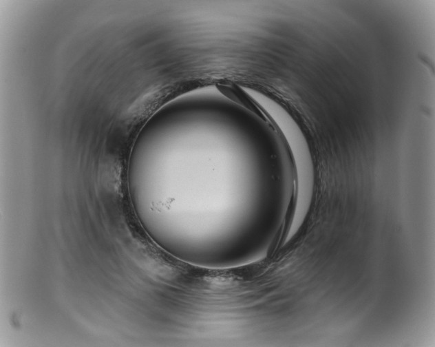X0000099500693200805151431
