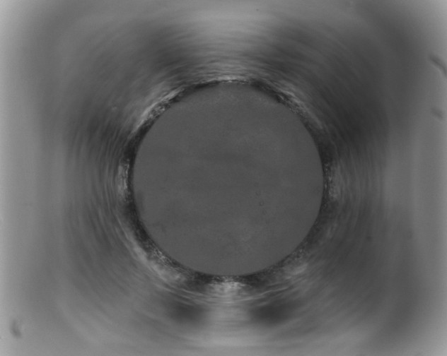 X0000099500695200805151431