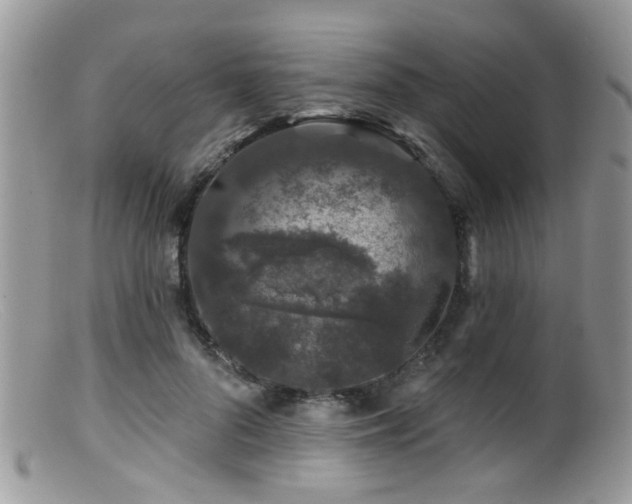 X0000099500696200805151431