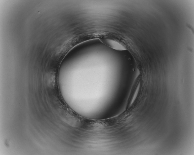 X0000099500697200805151431