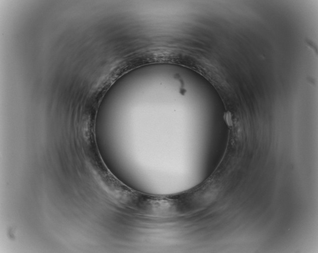 X0000099500698200805151431