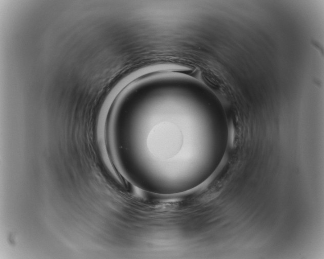 X0000099500700200805151431