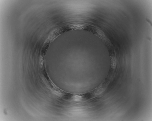 X0000099500701200805151431