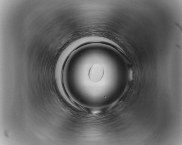 X0000099500704200805151431