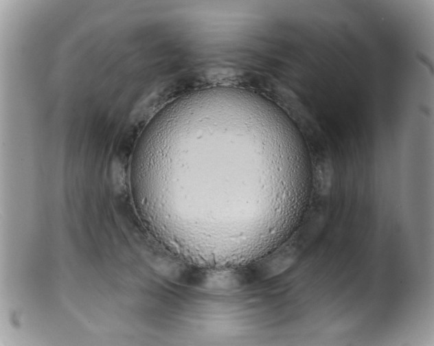 X0000099500705200805151431