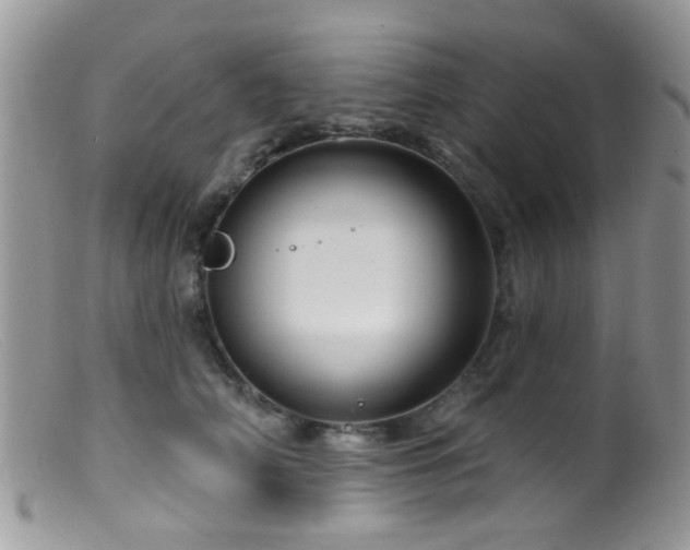 X0000099500706200805151431