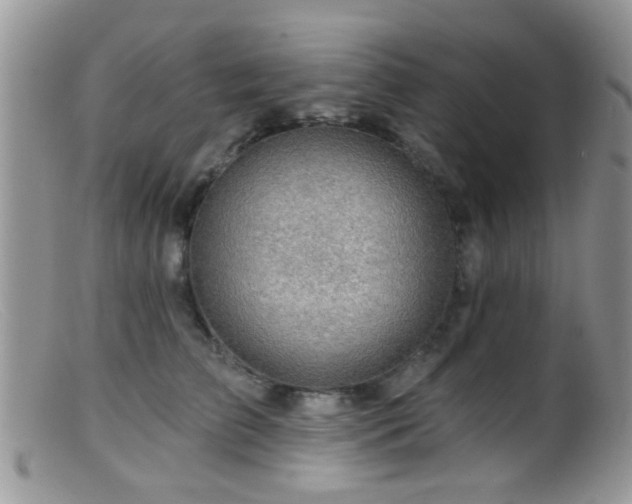 X0000099500709200805151431