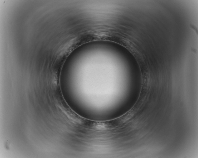 X0000099500710200805151431