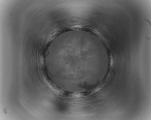 X0000099500711200805151431