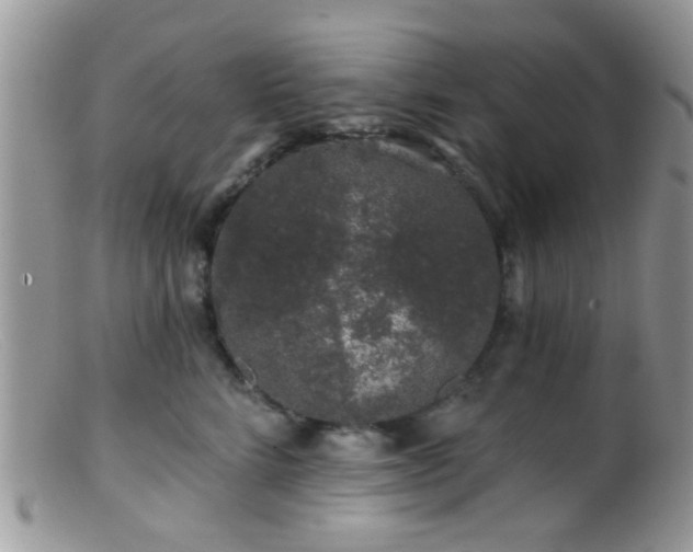 X0000099500712200805151431