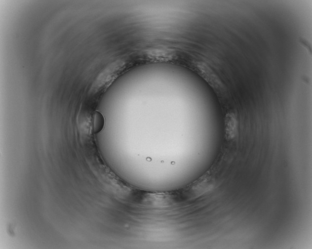 X0000099500713200805151431