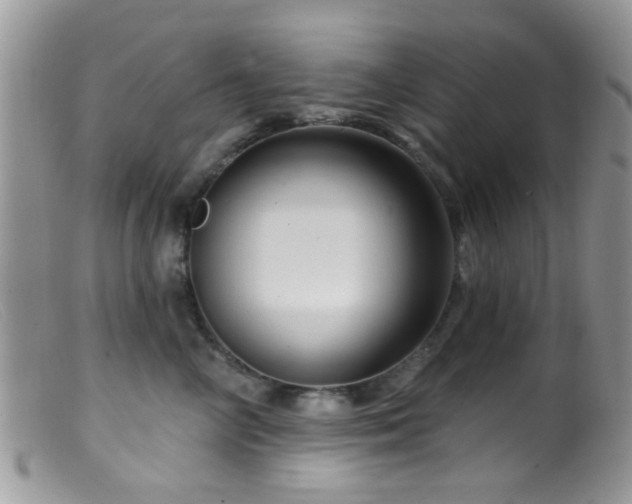 X0000099500714200805151431