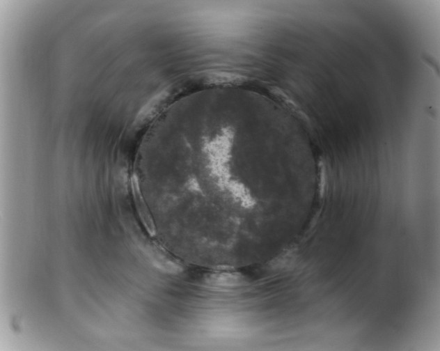 X0000099500716200805151431