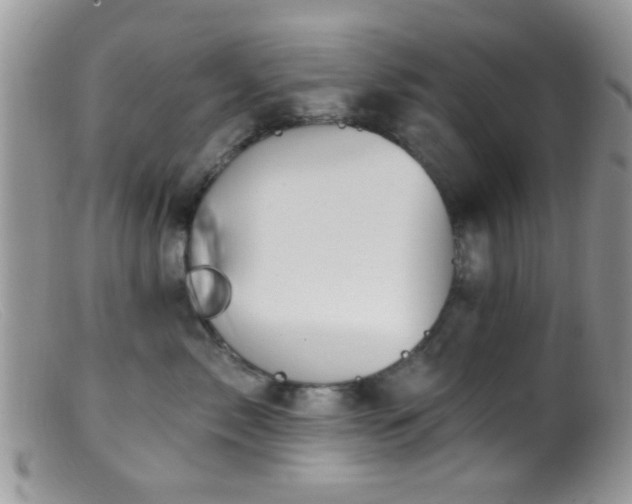 X0000099500717200805151431