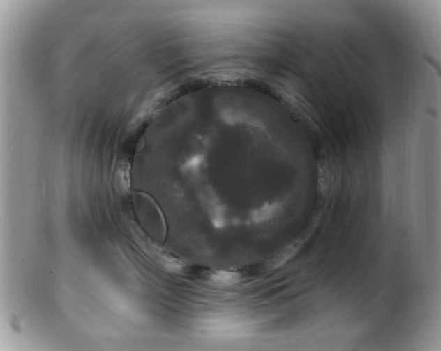 X0000099500718200805151430