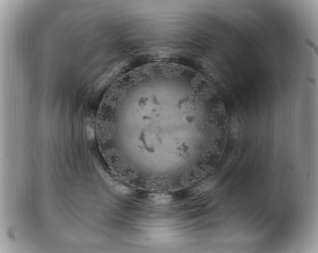 X0000099500719200805151430